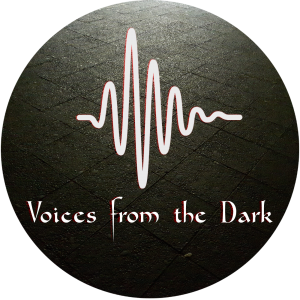Voices from the Dark Logo sound wave design